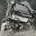 VOLKSWAGEN Passat B8 (2014-2023) Engine DGEB 31565681