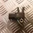 AUDI A4 B8/8K (2011-2016) DPF Pressure Sensor 6PP009409 25453920