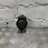 LEXUS IS XE20 (2005-2013) Alarm Siren 2370003810,8904053030 21504925