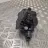 RENAULT Kadjar 1 generation (2015-2024) Fuel Pump HMLGT8980R 33352162