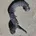 OPEL Vivaro A (2002-2006) Intercooler Hose Pipe 93858731,8200607746 34787571