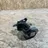 MERCEDES-BENZ E-Class W211/S211 (2002-2009) Front Left Seatbelt 561014701,008R000 34564636