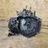 ALFA ROMEO Giulietta 940 (2010-2020) Gearbox 55216183 32422778